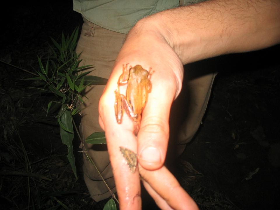 FIGURE 3 FIGURE 3